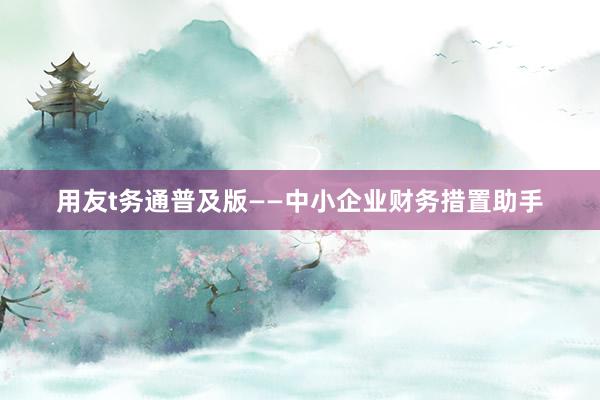 用友t务通普及版——中小企业财务措置助手