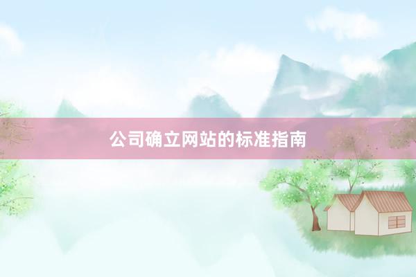 公司确立网站的标准指南