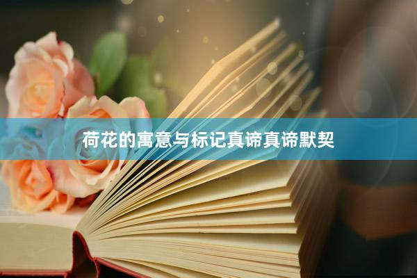 荷花的寓意与标记真谛真谛默契