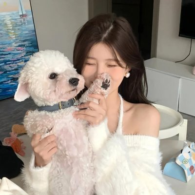 宋朝灰姑娘