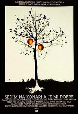 佛罗里达乐园 封面图